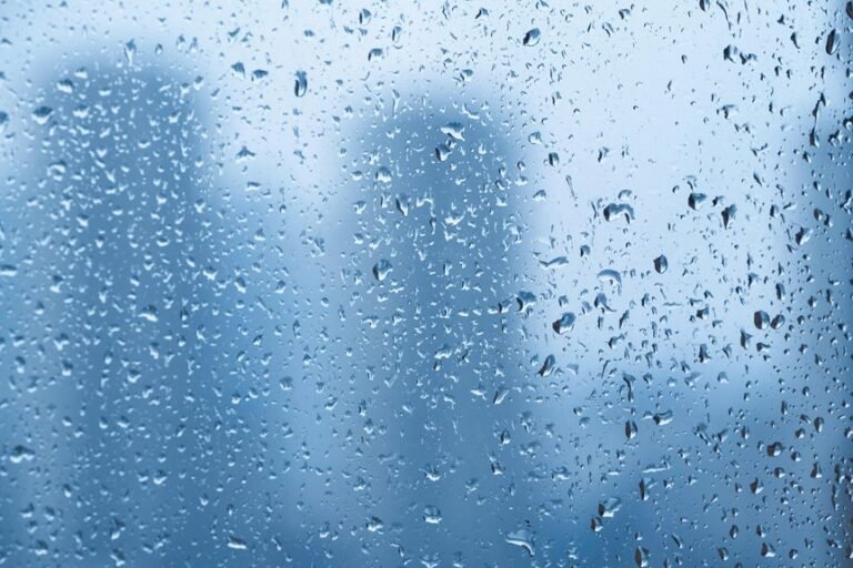 competitive digital outlook performance forecast